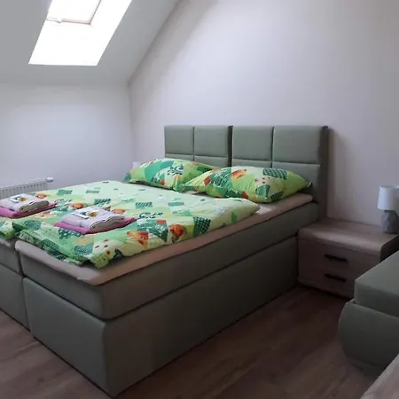 Guest house Na Hrazi